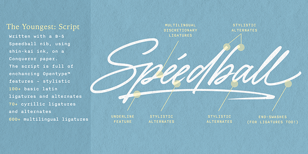 Card displaying The Youngest typeface in various styles