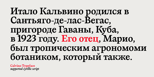 Card displaying Calvino typeface in various styles