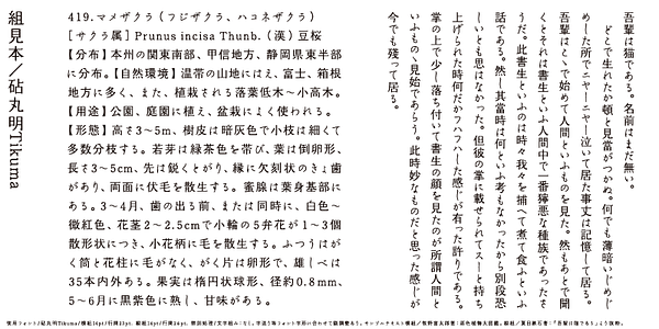 Card displaying Kinuta Marumin Tikuma StdN typeface in various styles