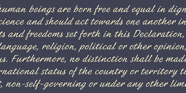 Card displaying Coquito typeface in various styles