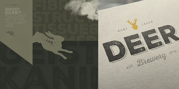 Card displaying Nexa Rust typeface in various styles