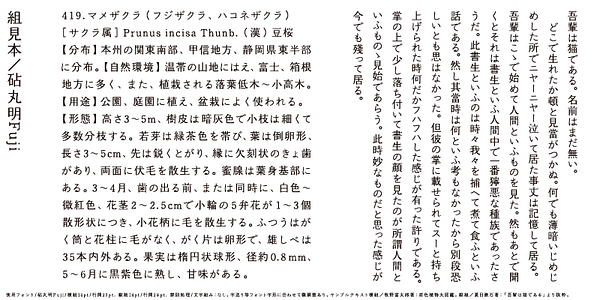 Card displaying Kinuta Marumin Fuji StdN typeface in various styles