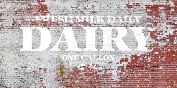 Card displaying ITC Zapf International typeface in various styles