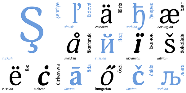 Card displaying Adonis typeface in various styles