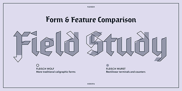 Card displaying Fleisch typeface in various styles