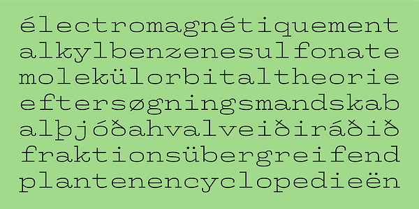 Card displaying Whale typeface in various styles