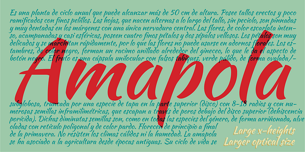 Card displaying Kaushan Script typeface in various styles