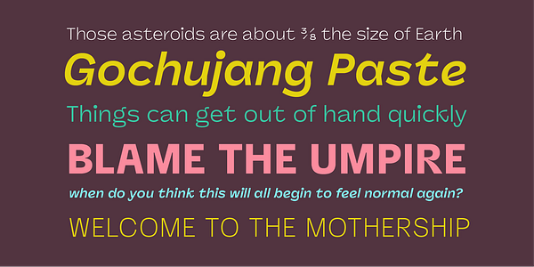 Card displaying Panel Sans typeface in various styles