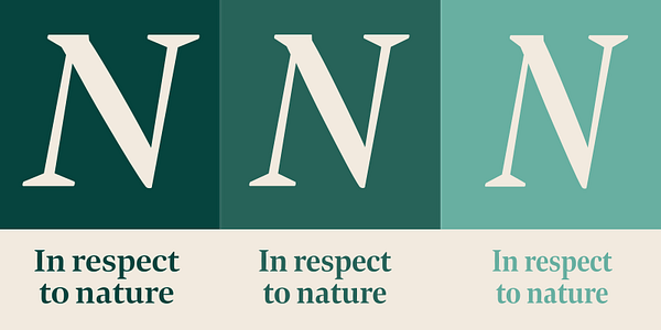 Card displaying Bennet Display typeface in various styles