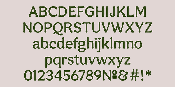 Card displaying Aesthet Nova typeface in various styles