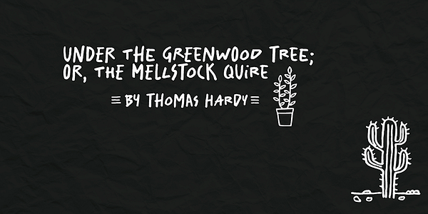 Card displaying Salted typeface in various styles