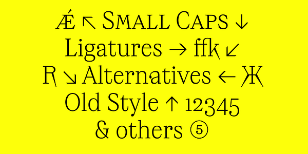 Card displaying Maregraphe Variable typeface in various styles