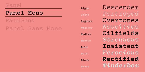 Card displaying Panel Mono typeface in various styles