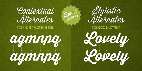 Card displaying Thirsty Script typeface in various styles