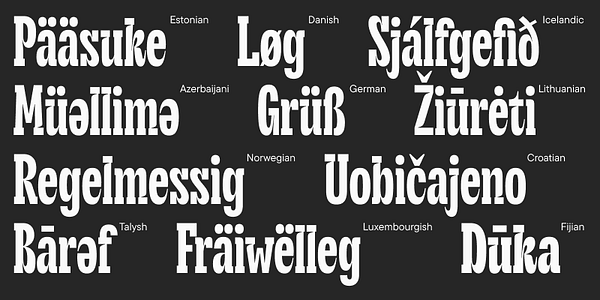 Card displaying TT Cometus typeface in various styles