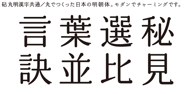 Card displaying Kinuta Marumin Shinano StdN typeface in various styles