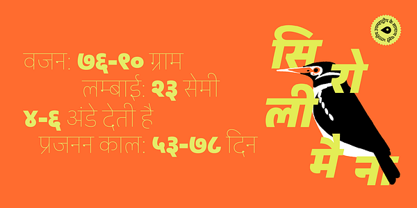 Card displaying Peridot Devanagari typeface in various styles