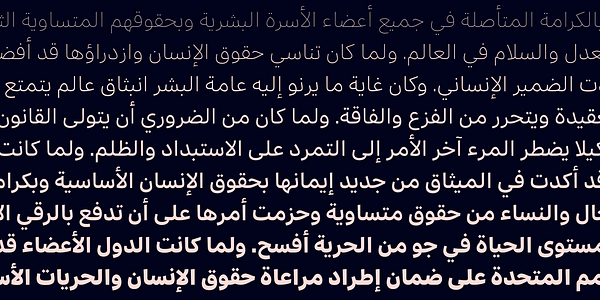 Card displaying Aktiv Grotesk Arabic typeface in various styles