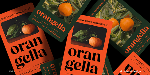 Card displaying Fields typeface in various styles