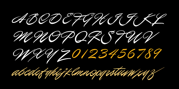 Card displaying P22 Casual Script Pro typeface in various styles