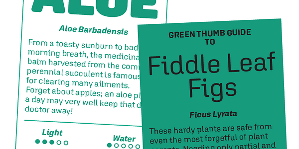 Card displaying Aglet Sans typeface in various styles