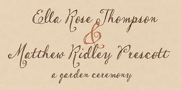 Card displaying Gonte typeface in various styles