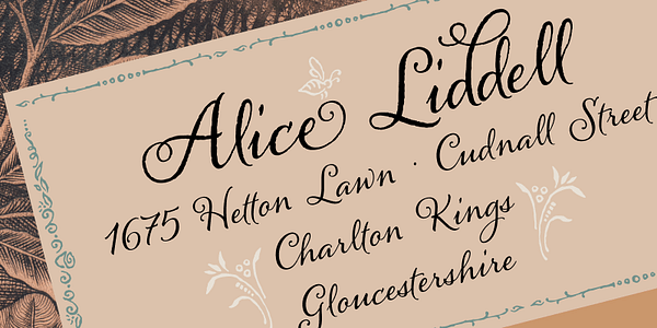 Card displaying Alana typeface in various styles