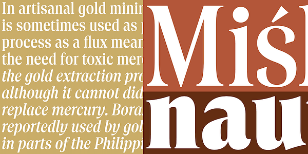 Card displaying Borax Variable typeface in various styles