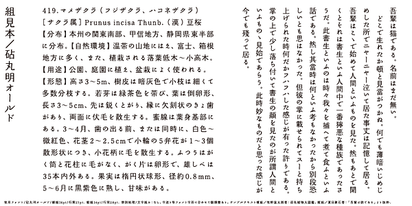 Card displaying Kinuta Marumin Old StdN typeface in various styles