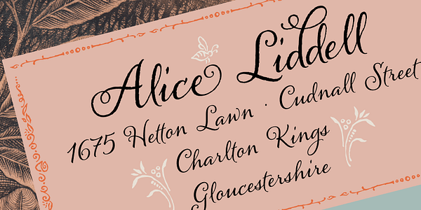 Card displaying Alana typeface in various styles