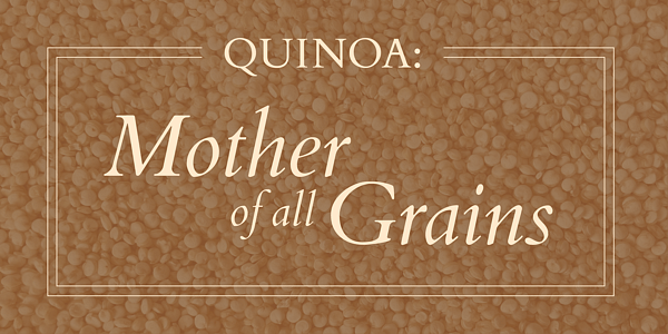 Card displaying Cardo typeface in various styles