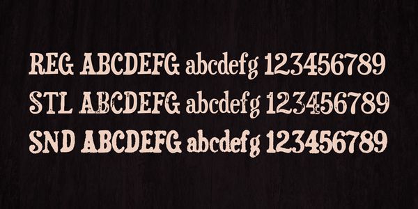 Card displaying Duality typeface in various styles