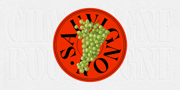 Card displaying Brillante Variable typeface in various styles