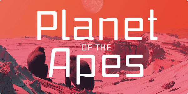 Card displaying Discovery typeface in various styles