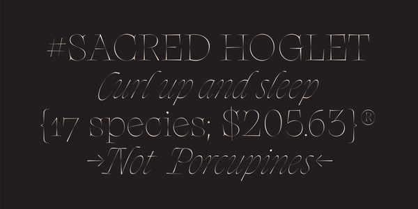 Card displaying Aidé typeface in various styles