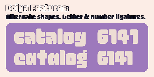 Card displaying Boiga typeface in various styles