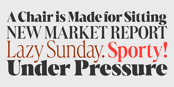 Card displaying Marlide Display Variable typeface in various styles