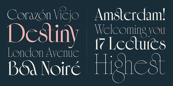 Card displaying Cisne Variable typeface in various styles