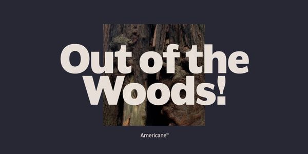 Card displaying Americane typeface in various styles