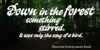 Card displaying Falcon Script typeface in various styles