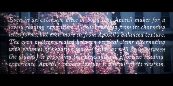 Card displaying Apostil typeface in various styles