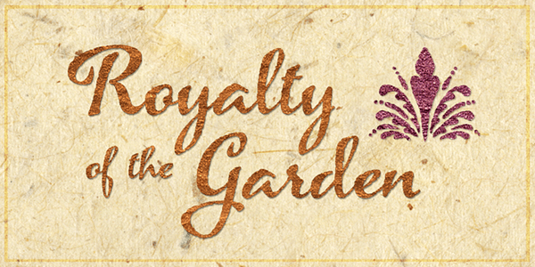 Card displaying Azalea typeface in various styles