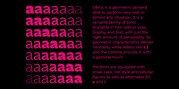 Card displaying Ofelia Text typeface in various styles