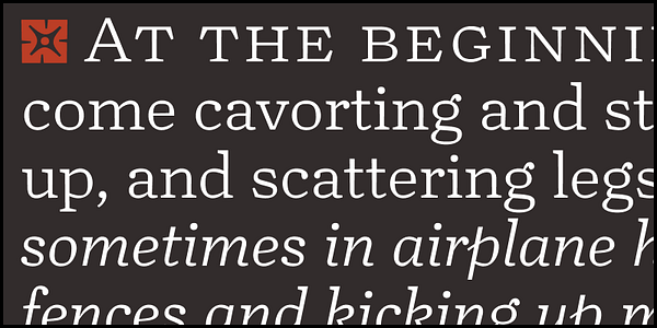 Card displaying Turnip typeface in various styles