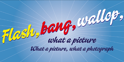 Card displaying Falcon Script typeface in various styles