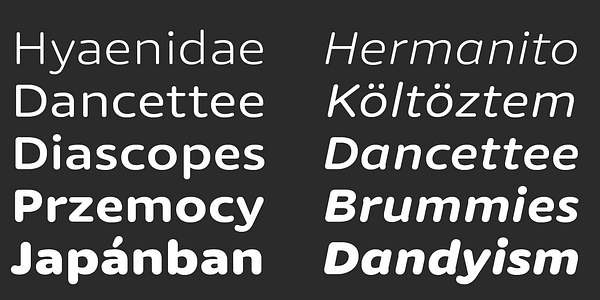Card displaying Dita typeface in various styles