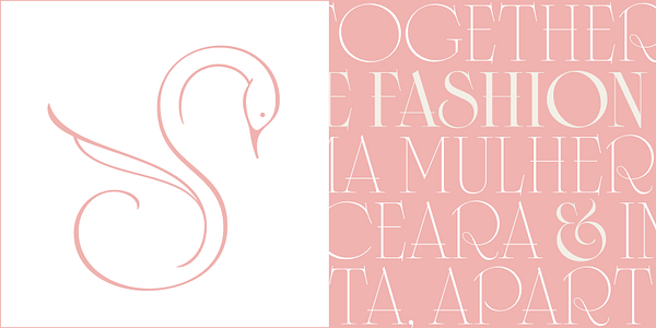 Card displaying Cisne Variable typeface in various styles