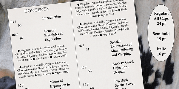 Card displaying Minion 3 Subhead typeface in various styles