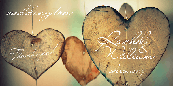 Card displaying Liana typeface in various styles