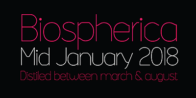 Card displaying Lynda typeface in various styles